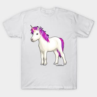 Unicorn Magical Fantasy Creature Novelty Gift T-Shirt